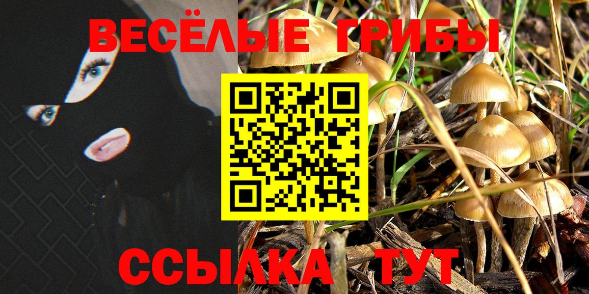 Протвино  Псилоцибиновые грибы ЛСД  Вход с VPN  что такое наркотик  Псилоцибиновые грибы Cubensis 