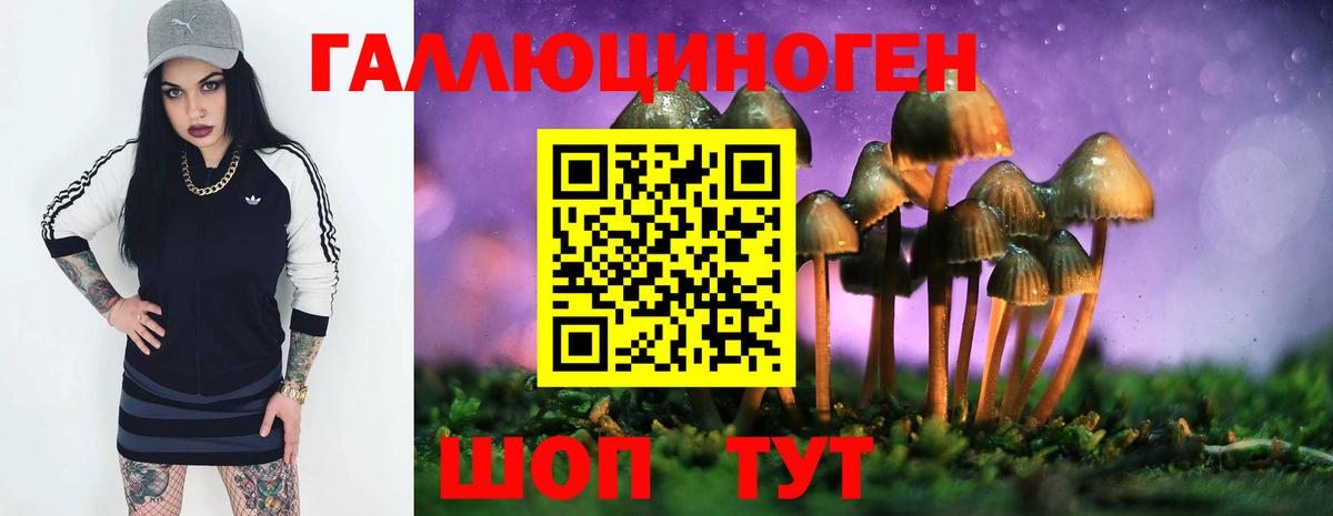 Галлюциногенные грибы прущие грибы Протвино